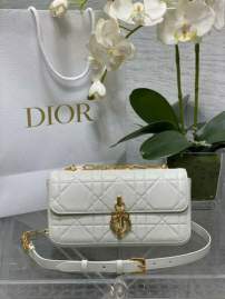 Picture of Dior Handbags _SKUfw239313072fw